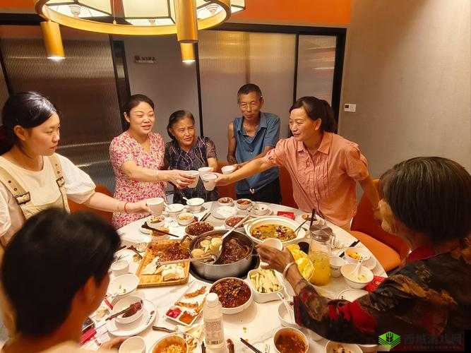 一家狂欢:一场欢乐无比的家庭聚会盛宴