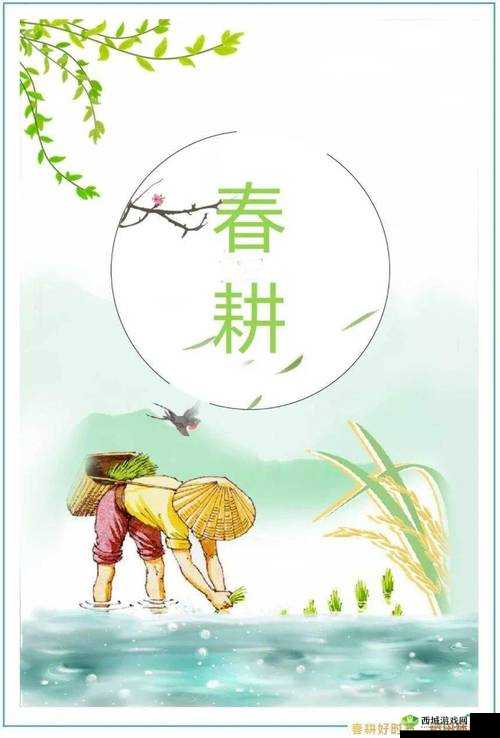 夫妻间 100 间插秧法人民网:探究背后的农耕智慧与情感纽带