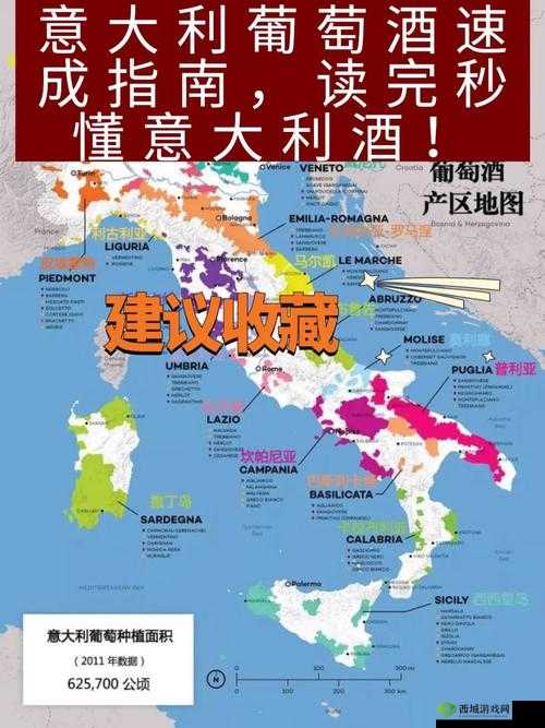 探索欧美精品一产区二产区葡萄酒：深入解读其独特魅力与文化内涵