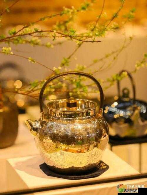 300 一晚同城约茶：畅享品质时光的绝佳之选