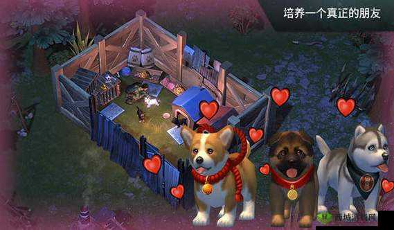 Lastdayonearth 猪和人精品：独特魅力与精彩呈现