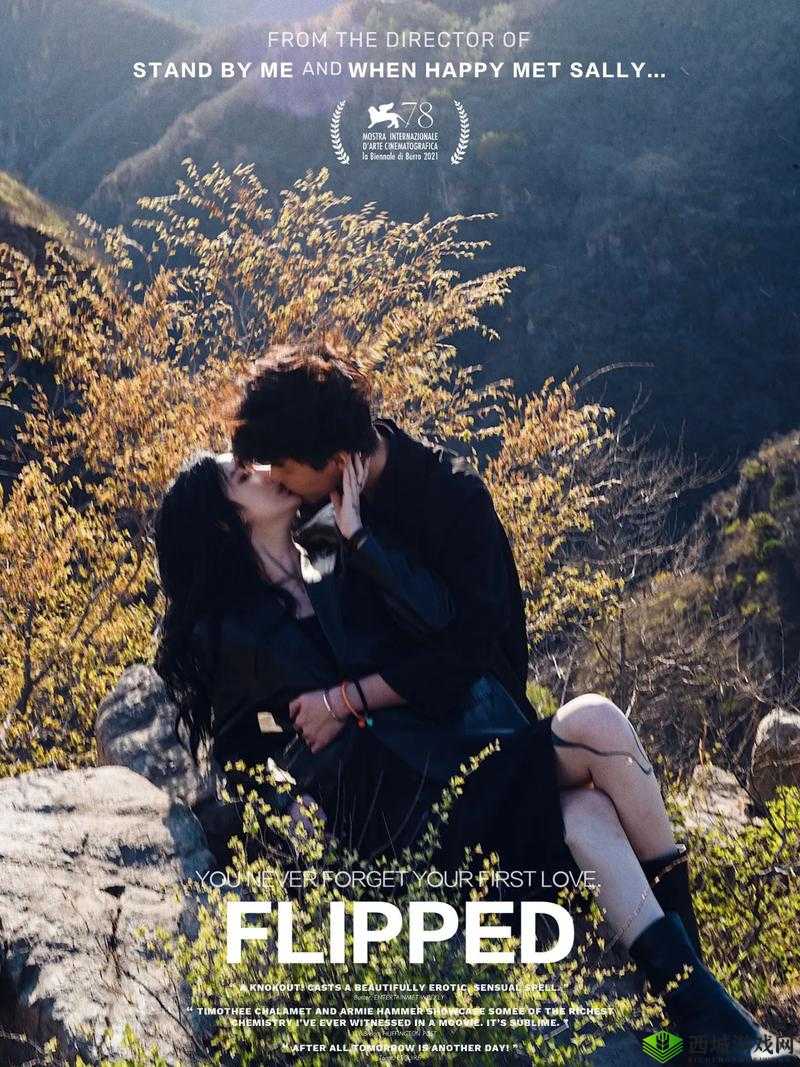 96xxxx com 爱爱爱:一场别样的情感之旅