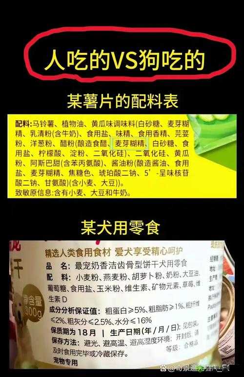 人狗胶配方大全狗狗一天吃多少:关于狗狗饮食的详细探讨与解析