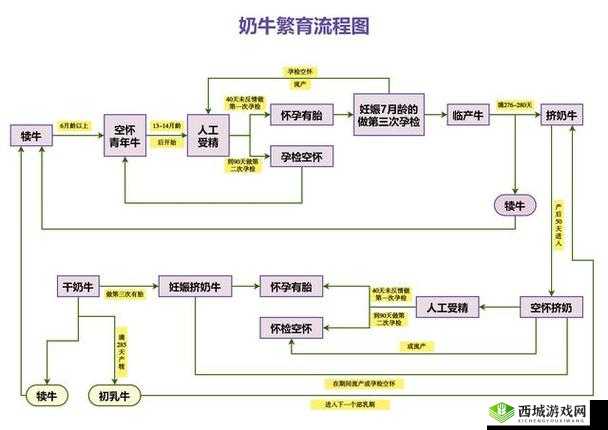 利用奶牛福建 app 导航湖南教育的好处有哪些：提升学习效率、丰富学习资源、促进教育公平