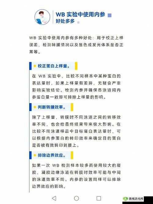九阳神功2,侠、邪、隐和伶选择培养的重要性与资源管理策略