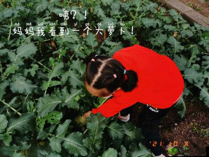 以后挤牛奶拔萝卜怎么拔：详细步骤与技巧分享