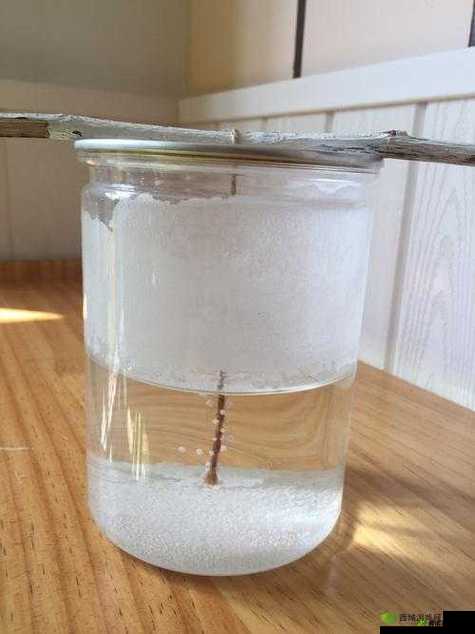 小烧货水能么多叫出来的奇妙之处探讨