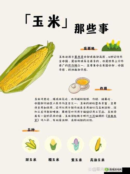玉米地方的那些事儿：讲述关于玉米的故事