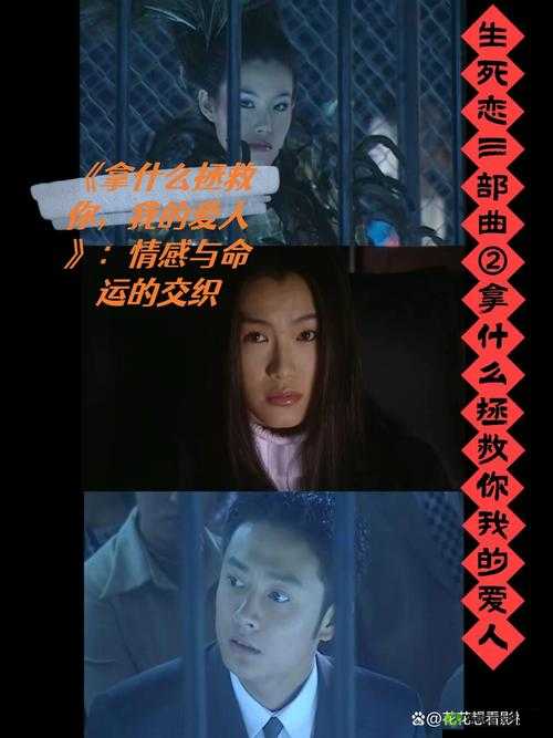 男女之间的唏唏哩哩电视剧之情感纠葛与命运交织的故事