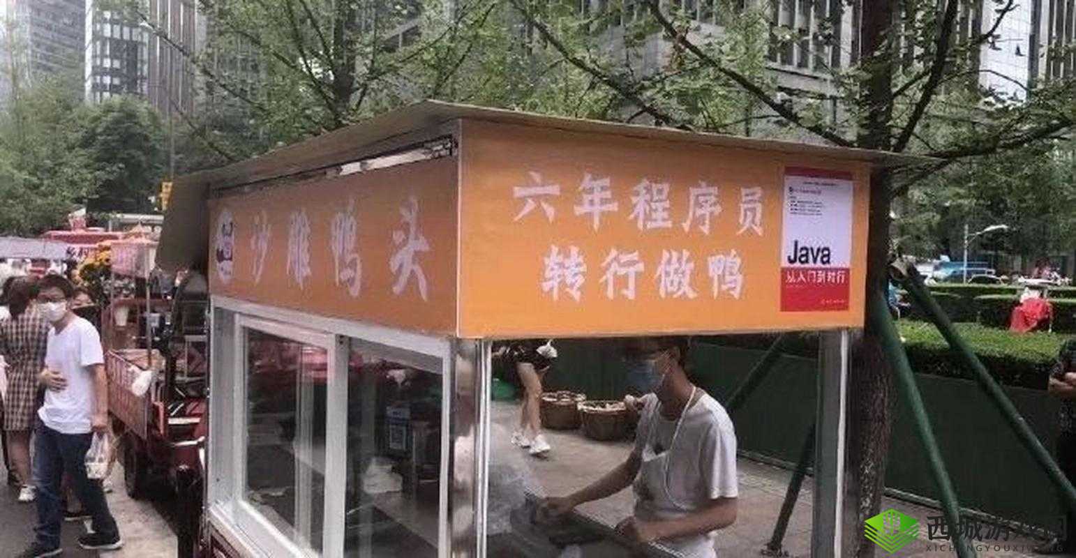 震惊日本程序员利用 JAVAPARSER 对中国进行了什么?