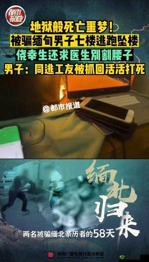 缅北禁区恐怖网站：揭秘真实的缅北禁区，揭开恐怖背后的真相