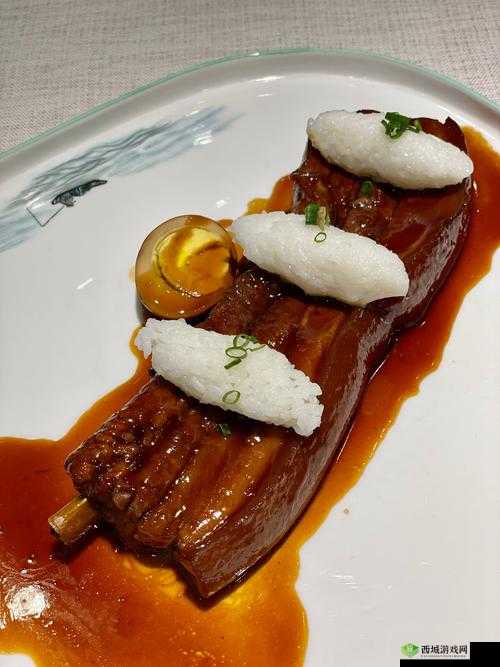 付先生 1VLH 一块五花肉的独特美味体验