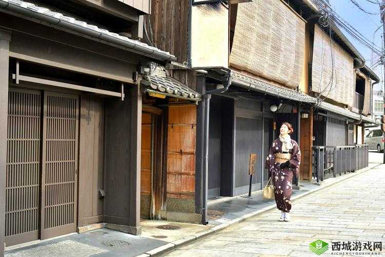 怡春院日本:探寻其独特历史文化与现象