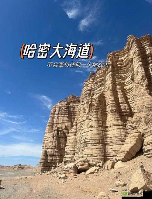 无人区码卡二卡乱码背后的真相:一场充满挑战的探索之旅