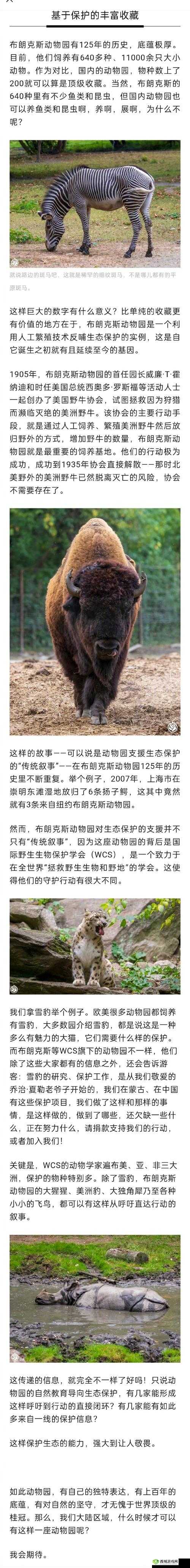 美国 Zoom 动物园：展现奇妙动物世界的精彩与魅力