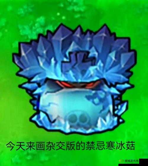 蘑菇.la 官方网站:探索神秘世界的入口