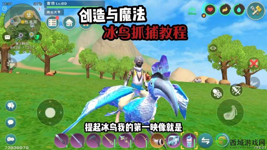 创造与魔法，揭秘公牛抓捕秘籍，小麦诱惑下的驯服之旅