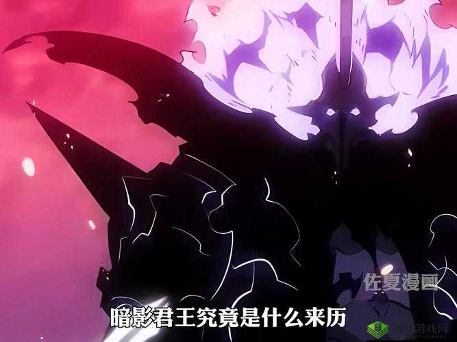 奥拉索斯战纪，光辉与暗影交织的史诗