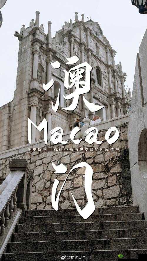 一入澳门深似海：那令人沉醉的繁华世界与无尽诱惑