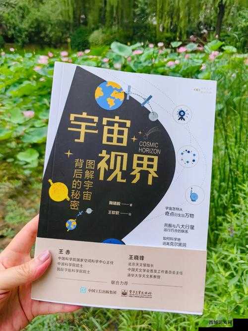 一区二区三区：探索未知的神奇领域