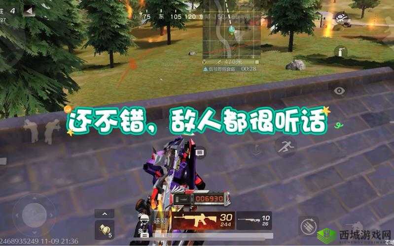 拒绝进楼成盒,荒野行动攻楼武器推荐在资源管理中的重要性及策略