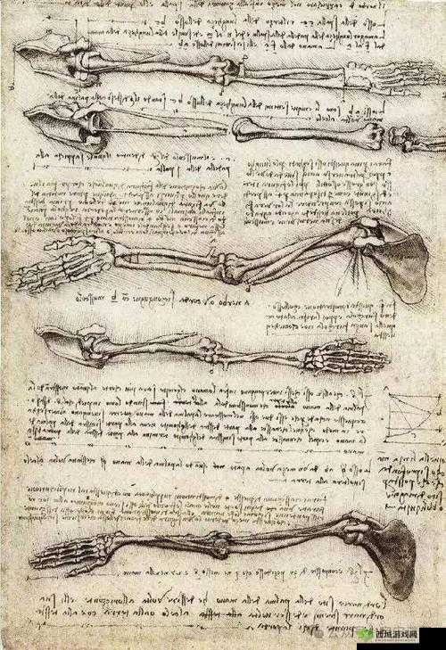 达芬奇密码在人版:探索人类未知的秘密