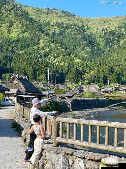 wwwxxx 日本 ：呈现独特的日本风情与文化魅力