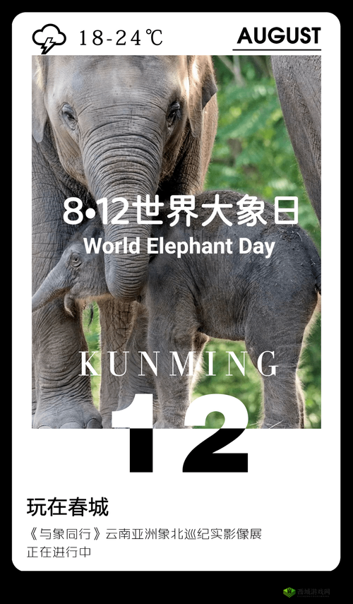 大象香煮伊在人线国产 85：一场关于美食与文化的奇妙之旅