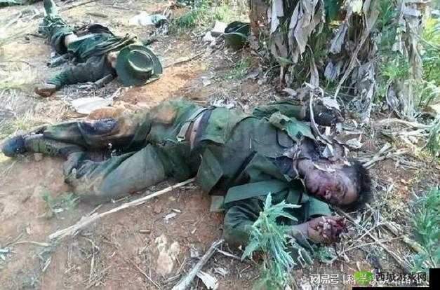 缅甸北部恐怖血腥网站 www:揭开其背后的罪恶面纱