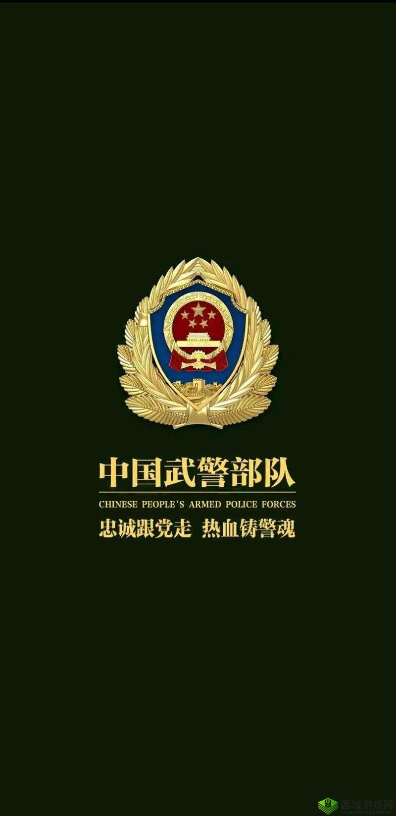中国 ChinaGary 武警：守护国家安全的钢铁长城