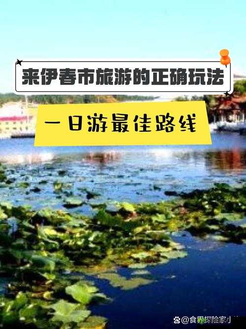 伊春园一路二路三路入口:展现独特魅力的关键所在