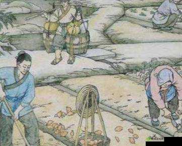 儿子耕了母亲荒废的田清朝：一段充满曲折与纠葛的传奇故事