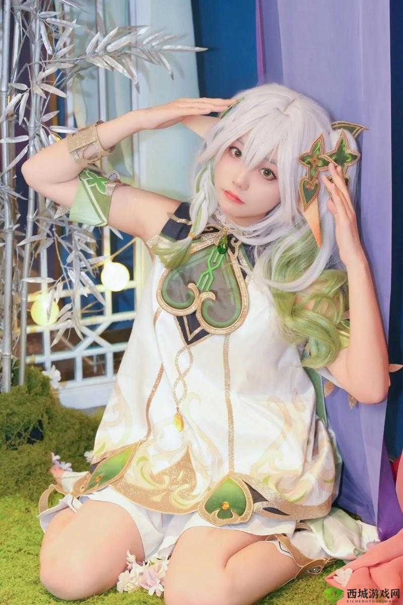 纳西妲开襟开叉裙鞋子多少钱:探寻其价格背后的故事与细节