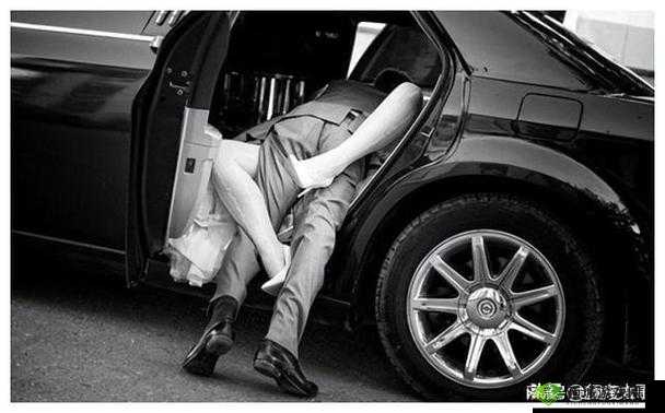 公侵犯美丽人妻 HD:道德与法律的边界