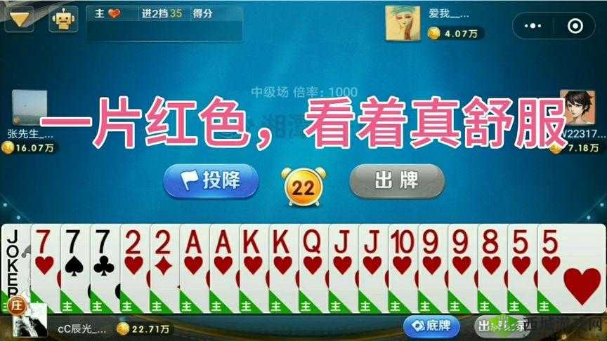 国产精品禁 815cc 红桃：一个充满挑战与机遇的行业