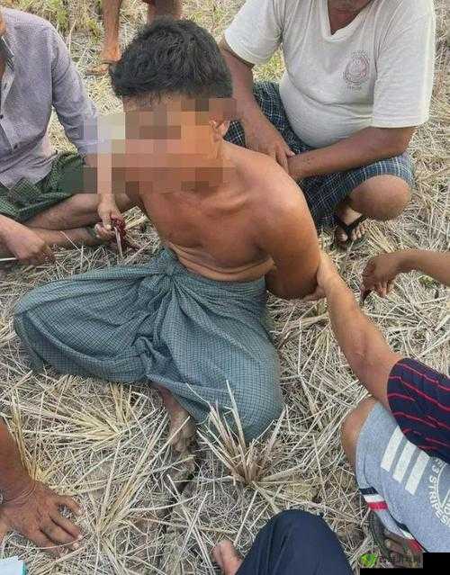 缅甸 3 分 19 秒砍人血腥场面之深度剖析与背后真相探究