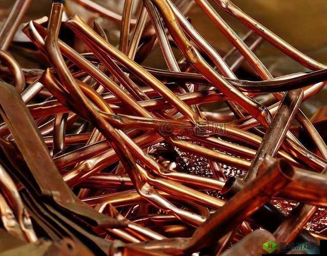 锏铜铜好多水：探究其背后的神秘与独特魅力所在