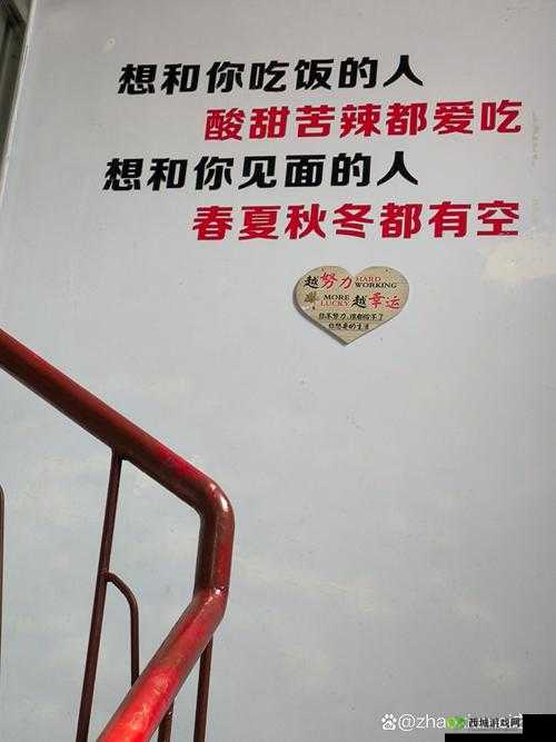 请问你需要我做些什么呢?