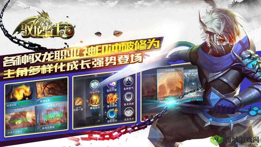 驭龙骑士团全新VIP系统曝光,特权介绍及其在资源管理中的重要性