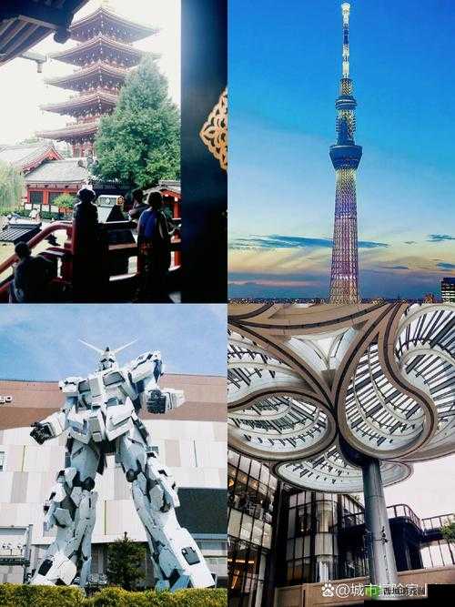 19MacbookPro 日本 ：探索其在当地的独特魅力与市场表现