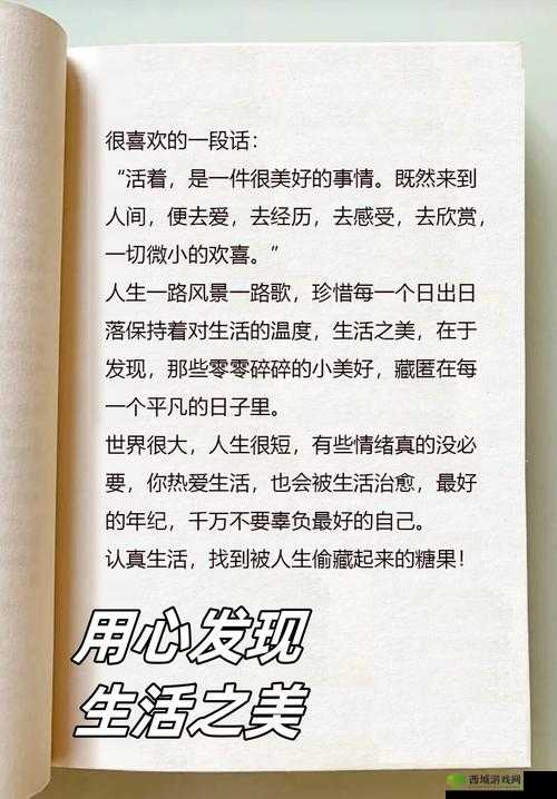 乂乂乂乂乂 BB ：开启一段充满惊喜与未知的奇妙旅程