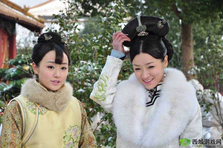 凤凰无双，权谋与荣耀的交织篇章