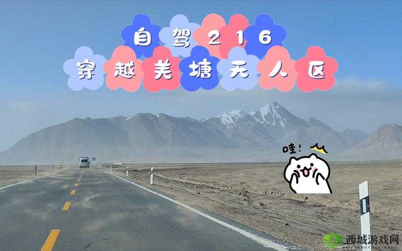 无人区编码 6229Jm 观天下事震撼升级评价：全新视角解读别样精彩