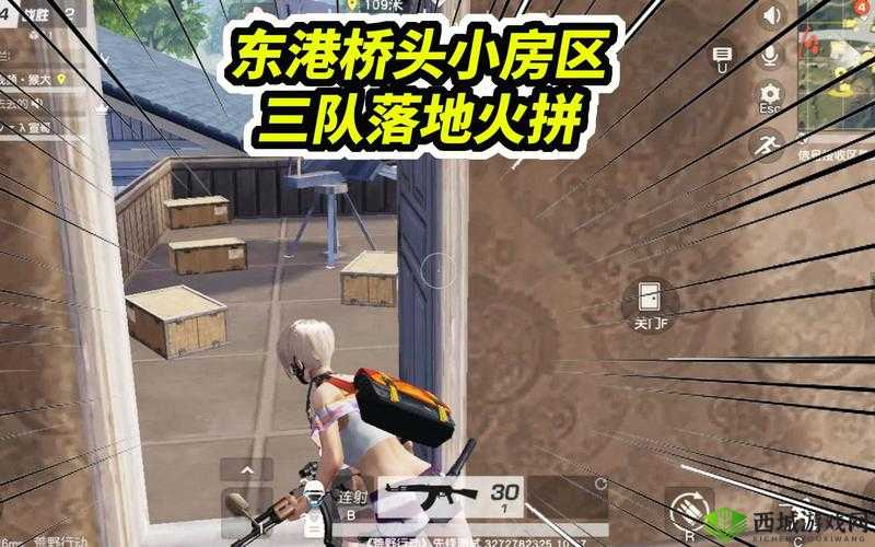 一次淘汰5队人，荒野行动堵桥技巧分享在资源管理中的重要性及策略