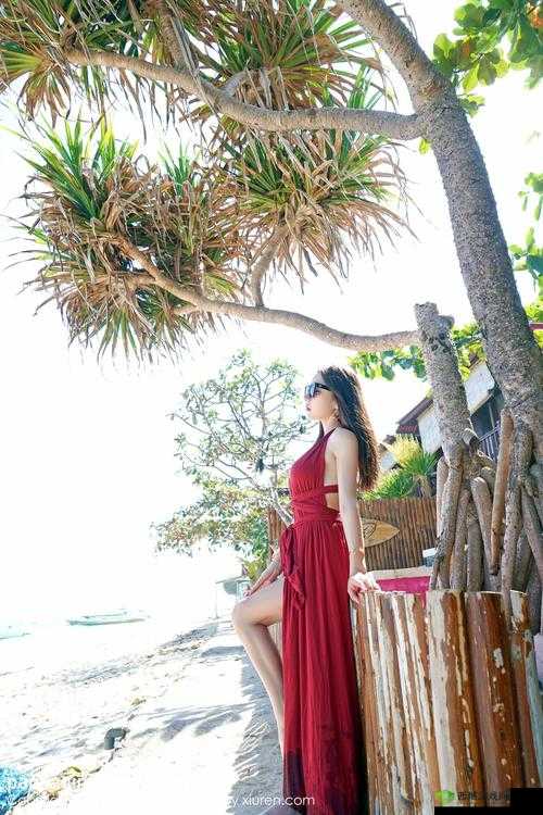 在这个充满诱惑的虚拟世界中，探索安卓黄油网站 SSTMMOESSTMMOE 的无限可能