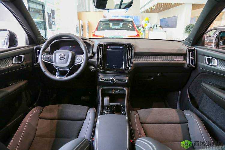 车子一晃一晃时那极具冲击感的深入过程