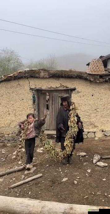 老孙头的春天与马强的别样故事