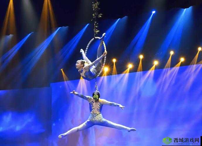 大型杂技表演：XXXXX 之完整性