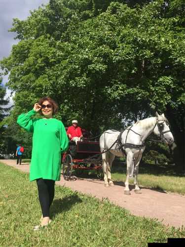 吴刚吴亮吴敏坐火车回家:一路欢声笑语期待团圆时刻