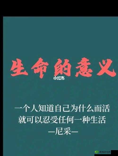 子神代表什么：探究其背后蕴含的深刻意义与价值所在